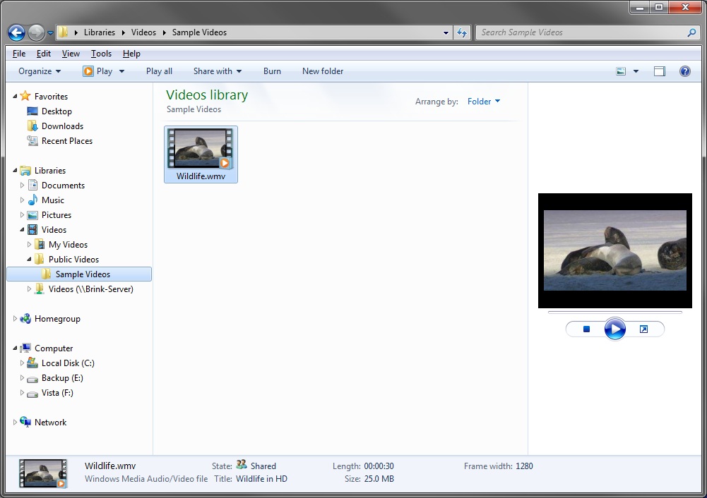 Windows File Explorer Show Folder Size